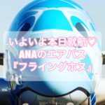 【ハワイ就航】ANAのエアバスA380型機「フライング・ホヌ」徹底解剖【超豪華】