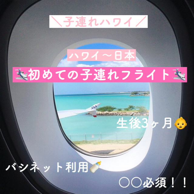 【子連れ飛行機レポ】日本へ一時帰国 ダニエルイノウエ空港→成田空港【生後3ヶ月】