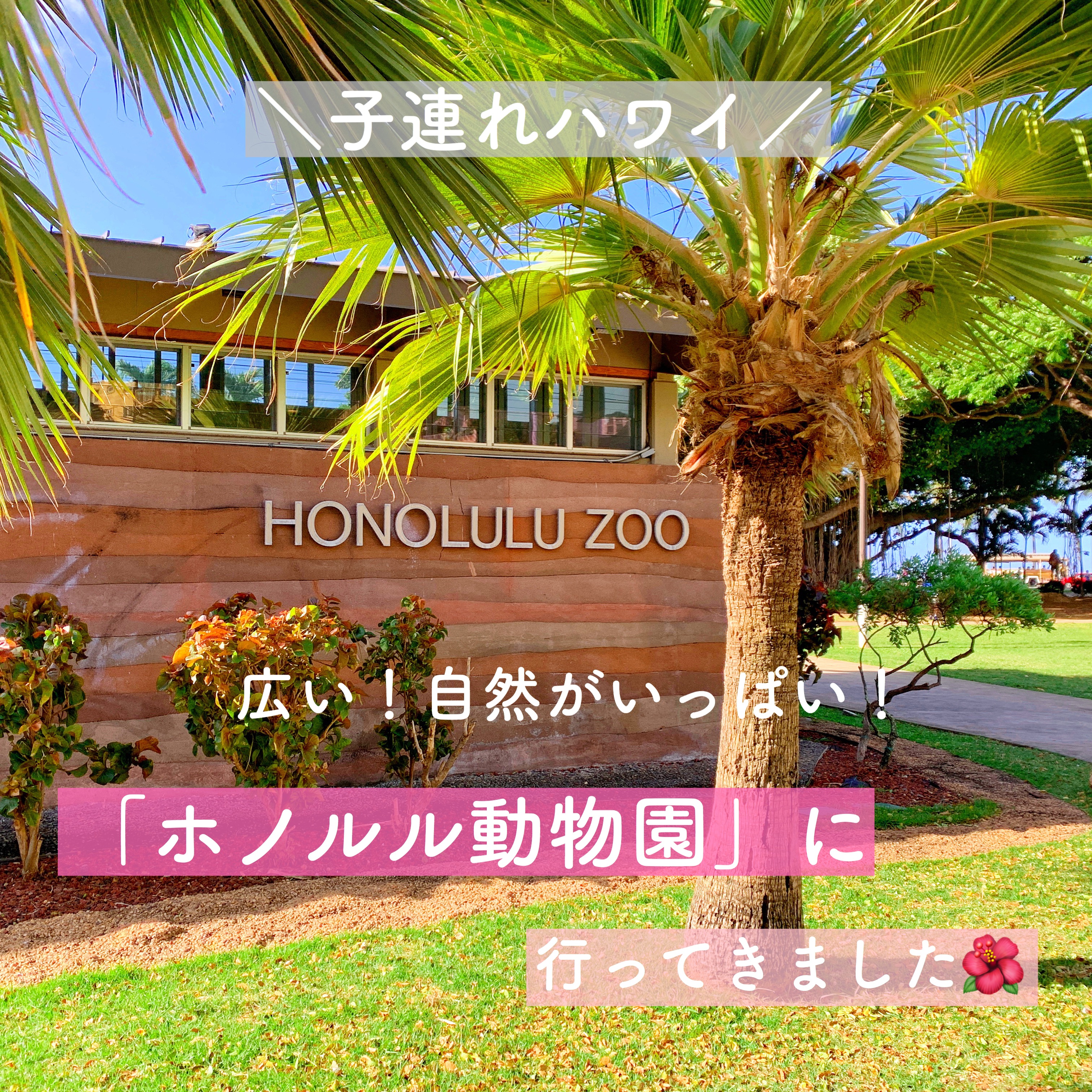 【子連れハワイ】子供に人気「ホノルル動物園(ズー)」 広い！楽しい！遊べる！